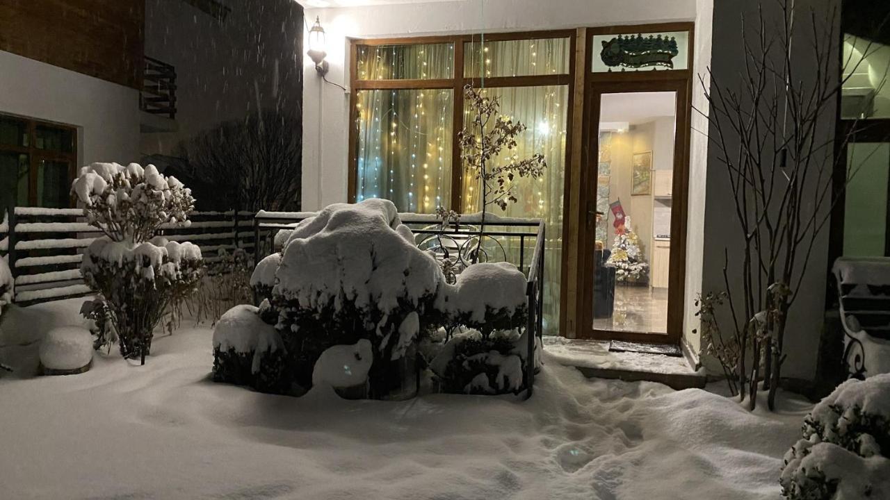 Villa Sun Valley Бакуриани Экстерьер фото