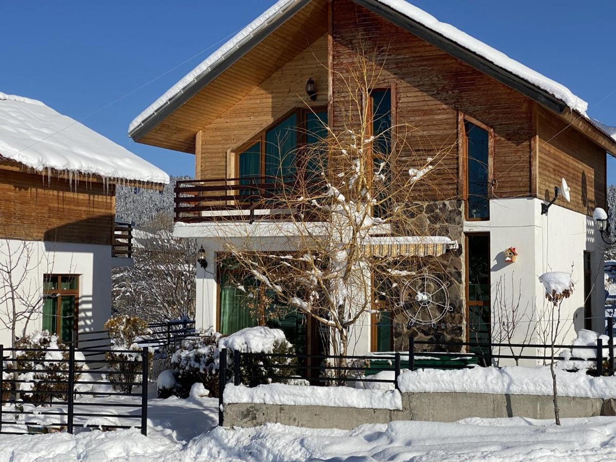 Villa Sun Valley Бакуриани Экстерьер фото