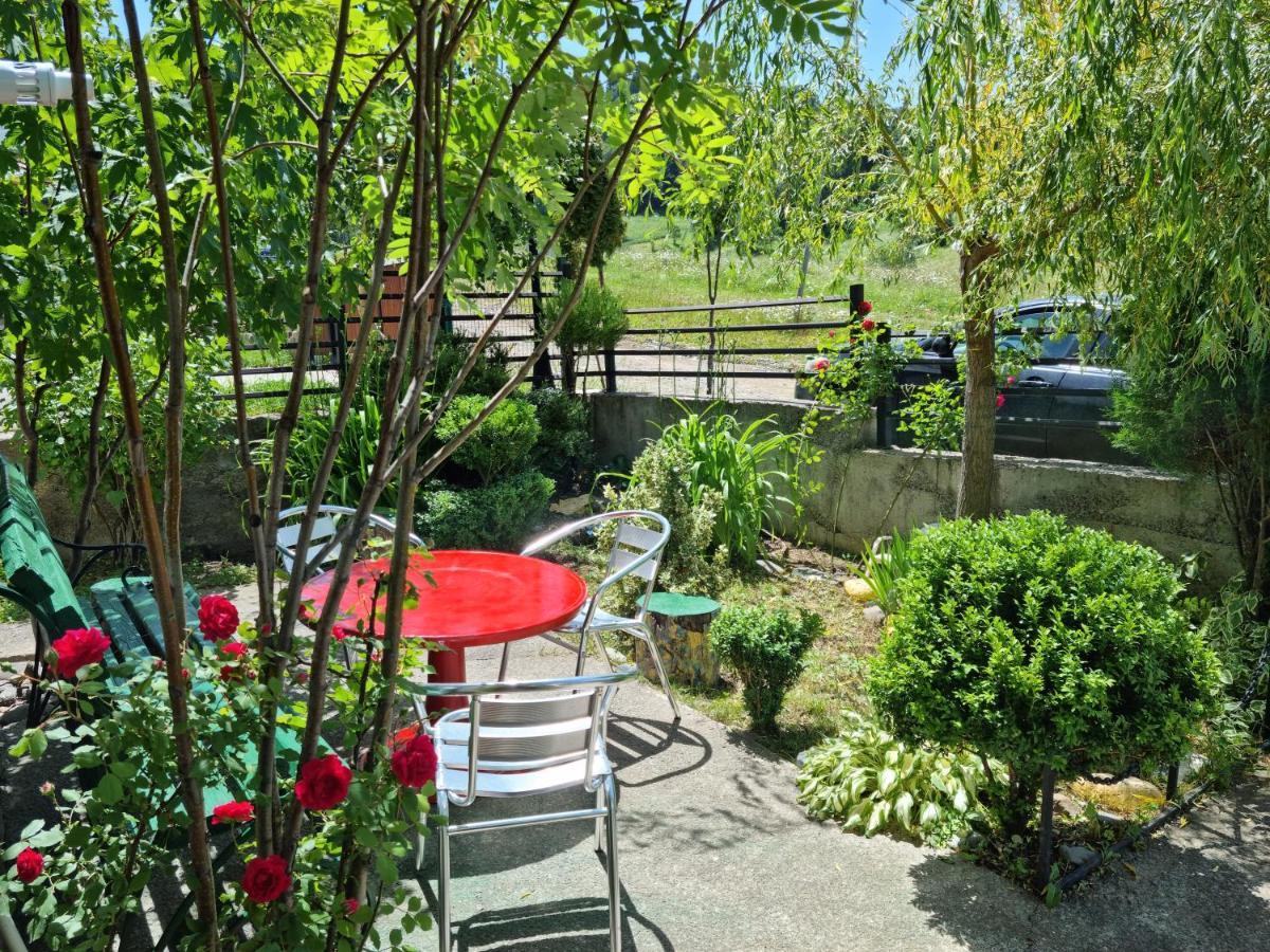 Villa Sun Valley Бакуриани Экстерьер фото
